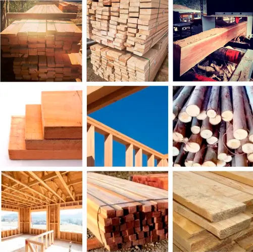 Portfólio de Construção